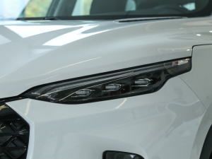 20211.3T PLUG IN LITE  ^