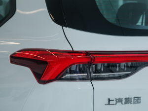 20211.3T PLUG IN LITE  β