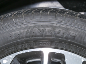 20211.3T PLUG IN LITE  ݆̥Ʒ