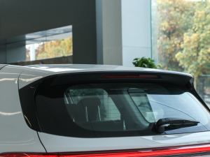 20211.3T PLUG IN LITE  ^