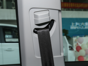 20211.3T PLUG IN LITE  g