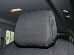 20211.3T PLUG IN LITE  g