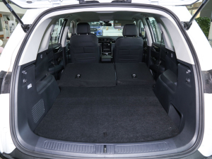 20211.3T PLUG IN LITE  g