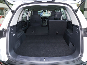 20211.3T PLUG IN LITE  g