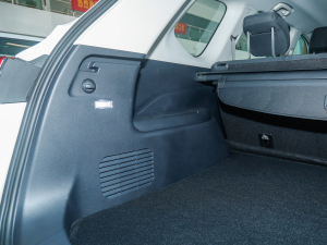 20211.3T PLUG IN LITE  g