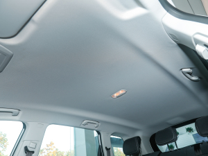 20211.3T PLUG IN LITE  п؅^