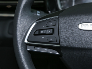 20211.3T PLUG IN LITE  п؅^(q)