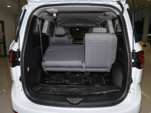 20222.0T Ԅ(dng)  7 g