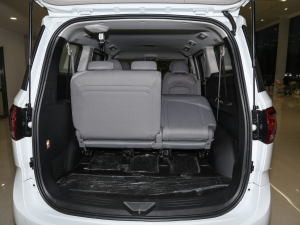 20222.0T Ԅ(dng)  7 g