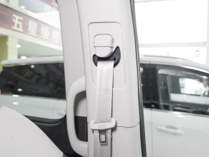 20222.0T քӳֵ  7 g