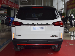 2021款2.0T 柴油 四驱畅享版 6座 正后	