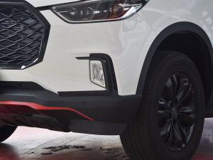 2021款2.0T 柴油 四驱畅享版 6座 前雾灯