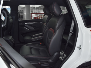 2021款2.0T 柴油 四驱畅享版 6座 后排座椅