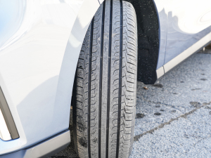 2022����A�� ���� �������^