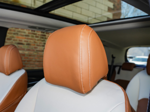 2022����A�� ���� ���g����