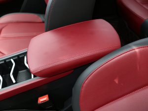 2022款牛·魔王 2.0T 自动四驱标箱 柴油 中央扶手箱