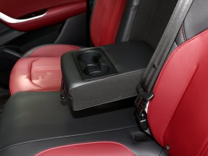 2022款牛·魔王 2.0T 自动四驱标箱 柴油 后排中央扶手