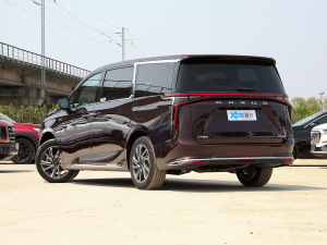 2022款2.0T 星际七座版 左后45度