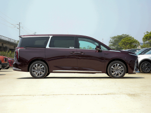 2022��2.0T ���H������ ���ȣ��ң�