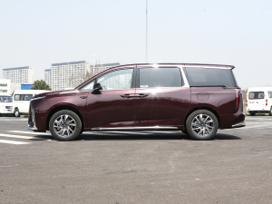 2022款2.0T 星际六座版 正侧（左）