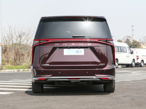 2022款2.0T 星际六座版 正后	