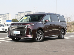 2022款2.0T 星际六座版 左前45度
