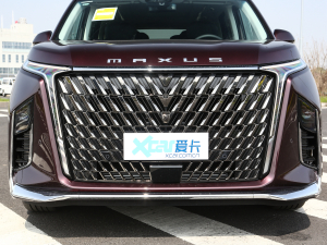 2022款2.0T 星际六座版 中网