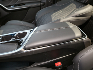 2022��2.0T ���H������ ���������