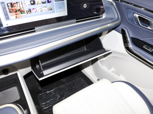 2022��2.0T ���H��Ş�� ������