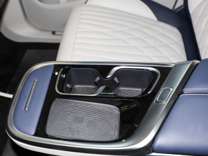 2022��2.0T ���H��Ş�� ǰ�ű���