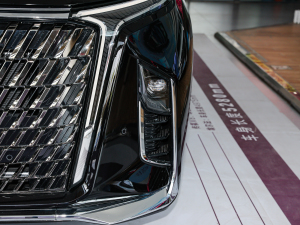 2022��2.0T ���������� �������^