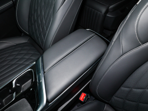 2022��2.0T ���������� ���������