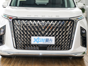 2022款2.0T 星河七座版 中网