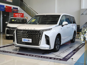 2022款2.0T 星辰七座版 左前45度