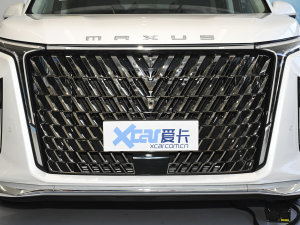 2022款2.0T 星辰七座版 中网
