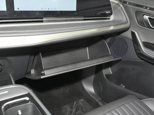 2022��2.0T �ǳ������� ������