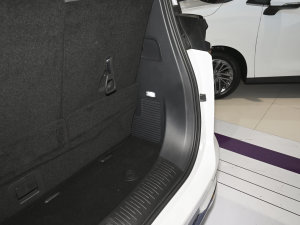 2022��2.0T �ǳ������� ���g����