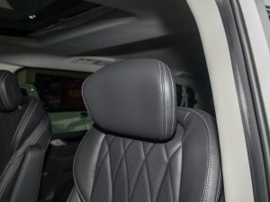 2023Ŀ PLUS 2.0T ԄӺA g