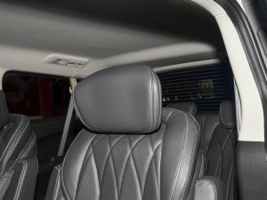 2023Ŀ PLUS 2.0T ԄӺA g