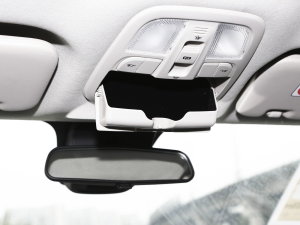 20232.0L ք(dng)๦ܰ  7 g