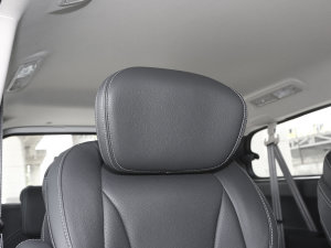 20232.0L ք(dng)๦ܰ  7 g