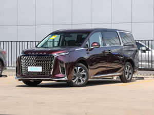 2023款上汽大通MAXUS G90 2.0T 星河七座版