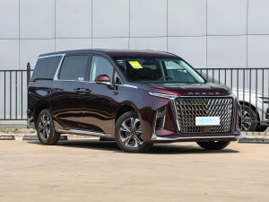 2023款2.0T 星河七座版 右前45度
