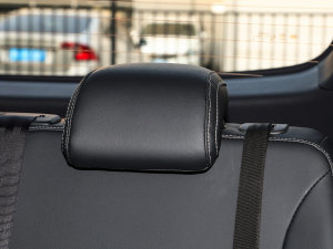 2023PLUS Ҹ] 1.5T ԄѲ g