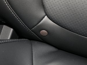 2023PLUS Ҹ] 1.5T ԄѲ g