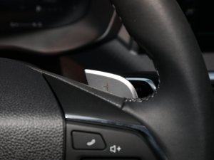 2023PLUS Ҹ] 1.5T ԄѲ п؅^