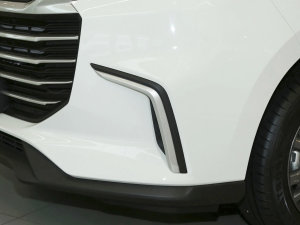 2023款PLUS 幸福推荐款 1.5T 自动护航版 细节外观