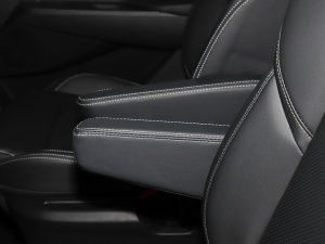 2023PLUS Ҹ] 1.5T Ԅo 