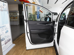 2023款PLUS 幸福推荐款 1.5T 自动护航版 驾驶位车门