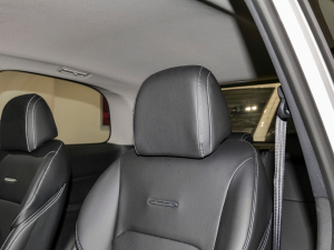 2023PLUS Ҹ] 1.5T Ԅӆ g